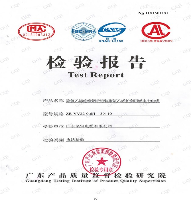檢驗報告