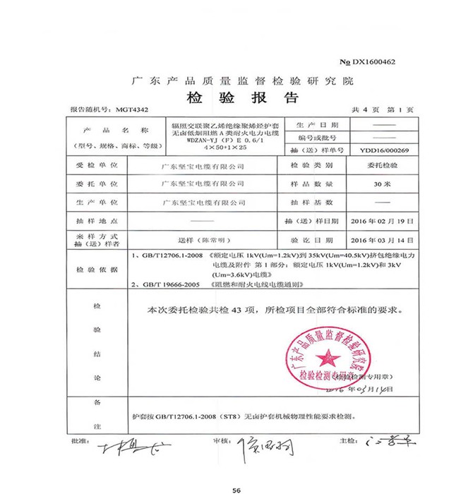 檢驗報告