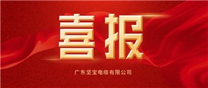 重磅喜報！堅寶電纜中標南方電網(wǎng)公司 2023 年配網(wǎng)材料第一批框架招標項目！