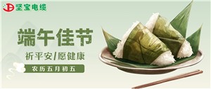 一年一端午，一歲一安康